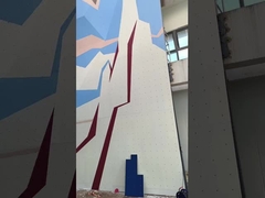 Volwassen Kunstmatige Professionele het Beklimmen Muur Openluchtspeelplaats Bergbeklimming